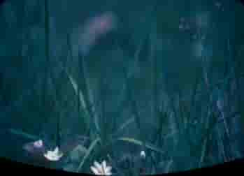 Photo de couverture de Camille Guilbert