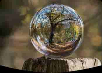 Photo de couverture de Faucibus Congue