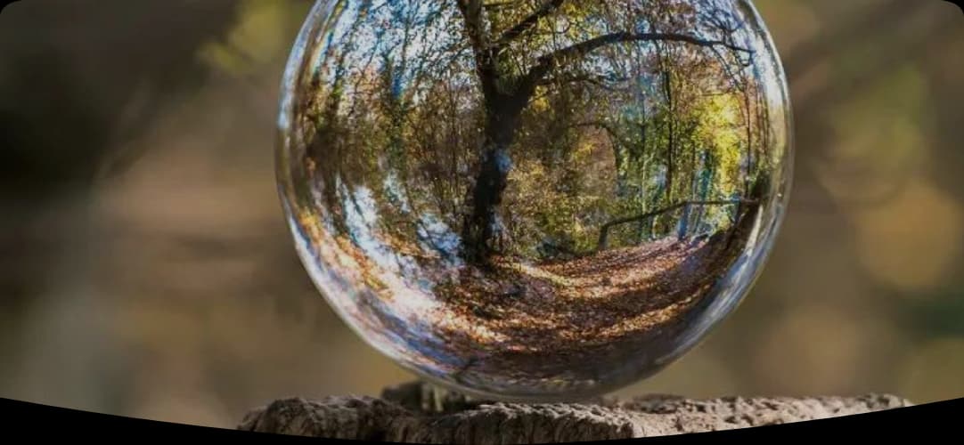 Photo de couverture de Faucibus Congue