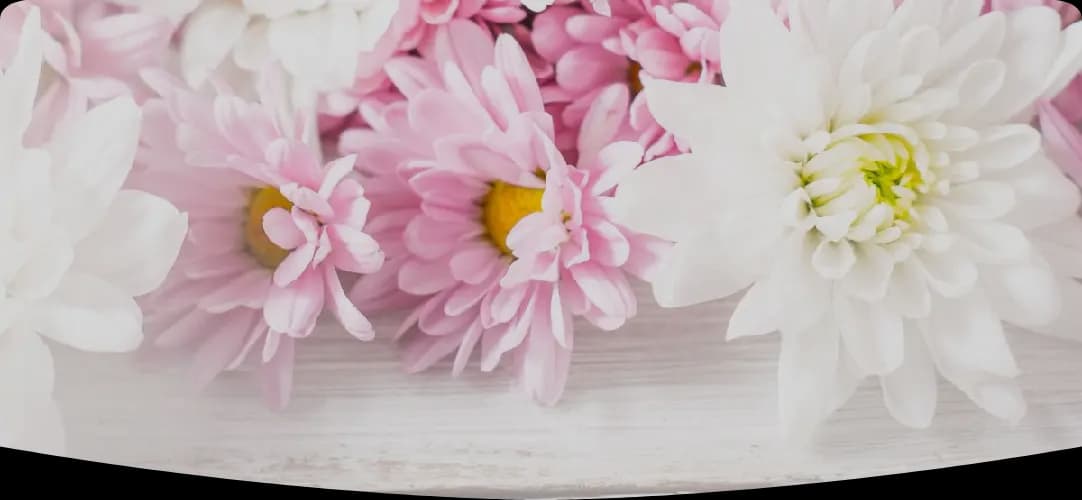 Photo de couverture de Donec Maximus